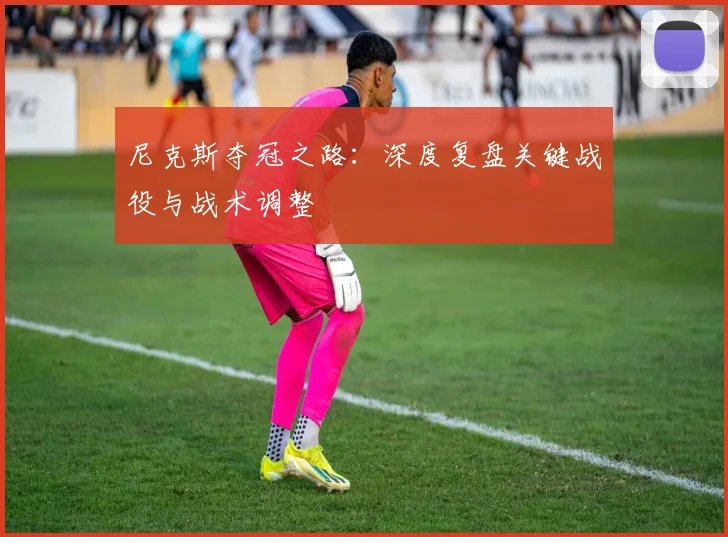 尼克斯夺冠之路：深度复盘关键战役与战术调整