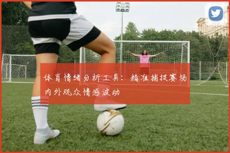 体育情绪分析工具：精准捕捉赛场内外观众情感波动